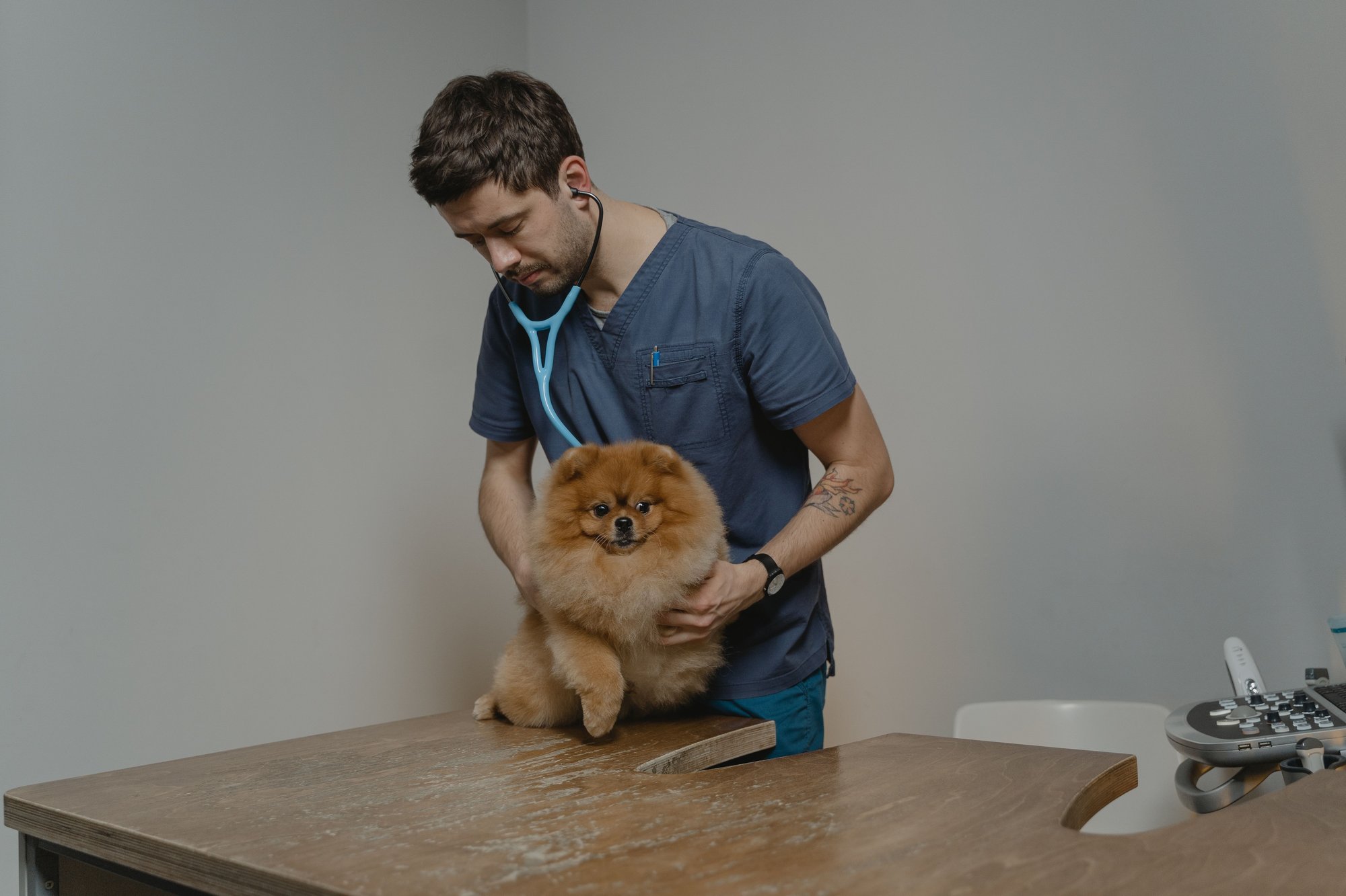 Clínica Veterinaria Integral — Veterinario en Resistencia